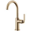 Single Handle Bar Faucet in Luxe Gold