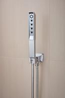 Brizo Chrome Multi Function Hand Shower 