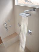 Brizo Chrome Multi Function Hand Shower 