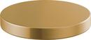 Brizo Luxe Gold Hole Cover 