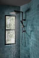 Brizo Matte Black Multi Function Hand Shower 