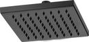 Single Function Showerhead in Matte Black