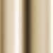 Brizo Luxe Gold 2-3/4 in. 13 oz. Kitchen Soap Dispenser 