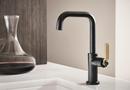 Brizo Matte Black Single Handle Lever Bar Faucet 
