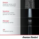 American Standard Polished Chrome 1.8 gpm 4-function Hand Shower 