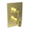 Newport Brass Forever Brass - PVD Brass Valve Trim 