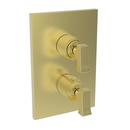 Two Handle Thermostatic Valve Trim in Satin Brass - PVD