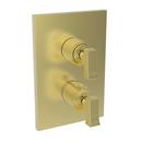 Newport Brass Satin Brass - PVD Brass Valve Trim 