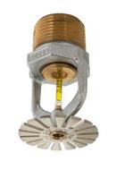 3/4 in. 155F 11.2K Extended Coverage, Pendent and Quick Response Sprinkler Head in Chrome Plated