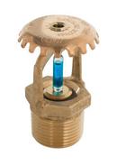 Brass GL1167 3/4 ELO UP 11.2K 286 BRS 