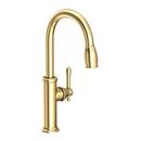 Single Handle Pull Down Kitchen Faucet in Forever Brass - PVD