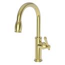 Single Handle Pull Down Kitchen Faucet in Forever Brass - PVD