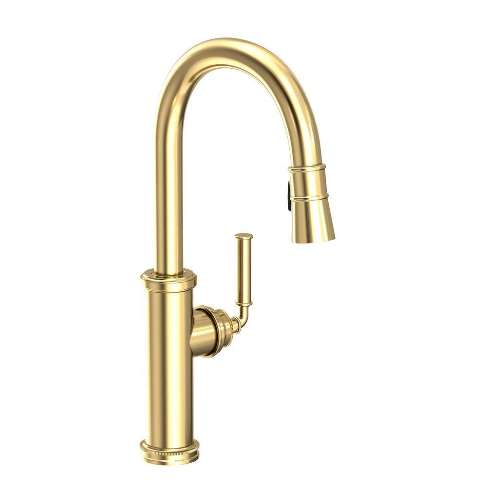Newport Brass Forever Brass - PVD Single Handle Pull Down Kitchen Faucet 