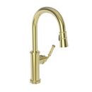 Single Handle Pull Out Kitchen Faucet in Forever Brass - PVD