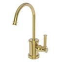 1 gpm 1 Hole Deck Mount Cold Water Dispenser with Single Lever Handle in Polished Gold - PVD