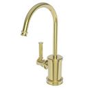 Newport Brass Forever Brass - PVD 1 gpm 1 Hole Deck Mount Hot Water Dispenser with Single Lever Handle 