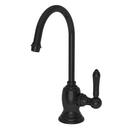 1 gpm 1 Hole Deck Mount Cold Water Dispenser with Single Lever Handle in Gloss Black