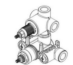 1/2 in. FNPT Thermostatic Valve