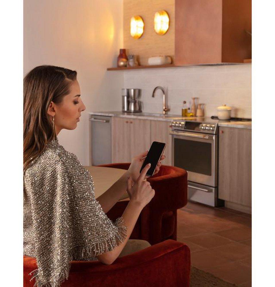 GE Profile&trade; Stainless Steel 610 CFM Insert 