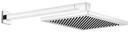 Single Function Showerhead in Polished Chrome