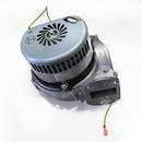 Combustion Blower for Phoenix 199000 Water Heater