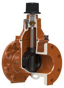 American AVK Co. Flanged Ductile Iron OS&Y Non-Rising Resilient Wedge Gate Valve 