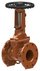 4 in. Flanged Ductile Iron OS&Y Non-Rising Resilient Wedge Gate Valve