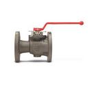 2 in. Stainless Steel Standard Port Flanged 150# Ball Valve