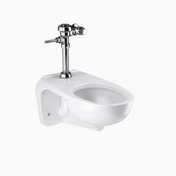 1.28 gpf Elongated Wall Mount Toilet and Flushometer