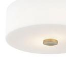 Mitzi Aged Brass 11-3/4 in. 60W 2-Light Medium E-26 Incandescent Flush Mount Ceiling Fixture 