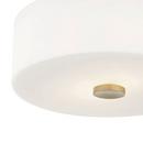 Mitzi Aged Brass 4-1/2 x 11-3/4 in. 60W 2-Light Incandescent Flush Mount Ceiling Fixture 
