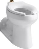 Elongated Toilet Bowl in White