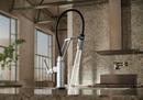Brizo Chrome Single Handle Pull Down Kitchen Faucet 