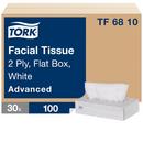 Facial Tissue Flat Box, 2-Ply 100-Sheets, White (Case of 30)