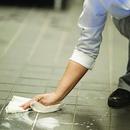 Perforated Roll Kitchen Towel 