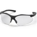 Pyramex Safety Products Polycarbonate Glasses with Black Frame and Lens 