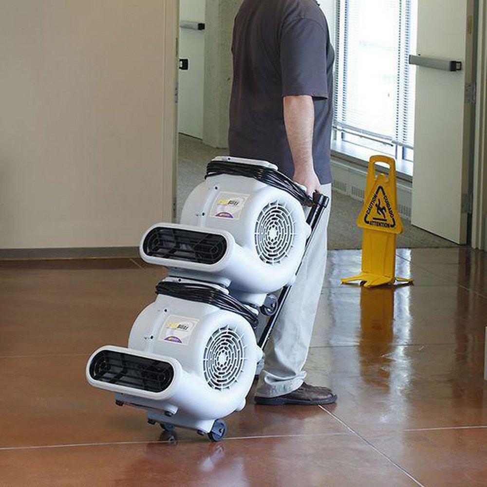 ProTeam® Grey 12-11/16 x 18-1/4 in. 3 Speed Air Mover 