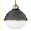 Hinkley Aged Zinc/Heritage Brass 18 in. 100W 2-Light Medium E-26 Incandescent Pendant 