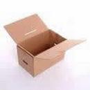 16-3/4 x 19-1/4 in. Plain Regular Slotted Carton with 44ECT 