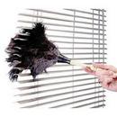 12 in. Ostrich Feather Duster