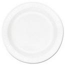 9 in. Foam Plate in White (Case of 500)