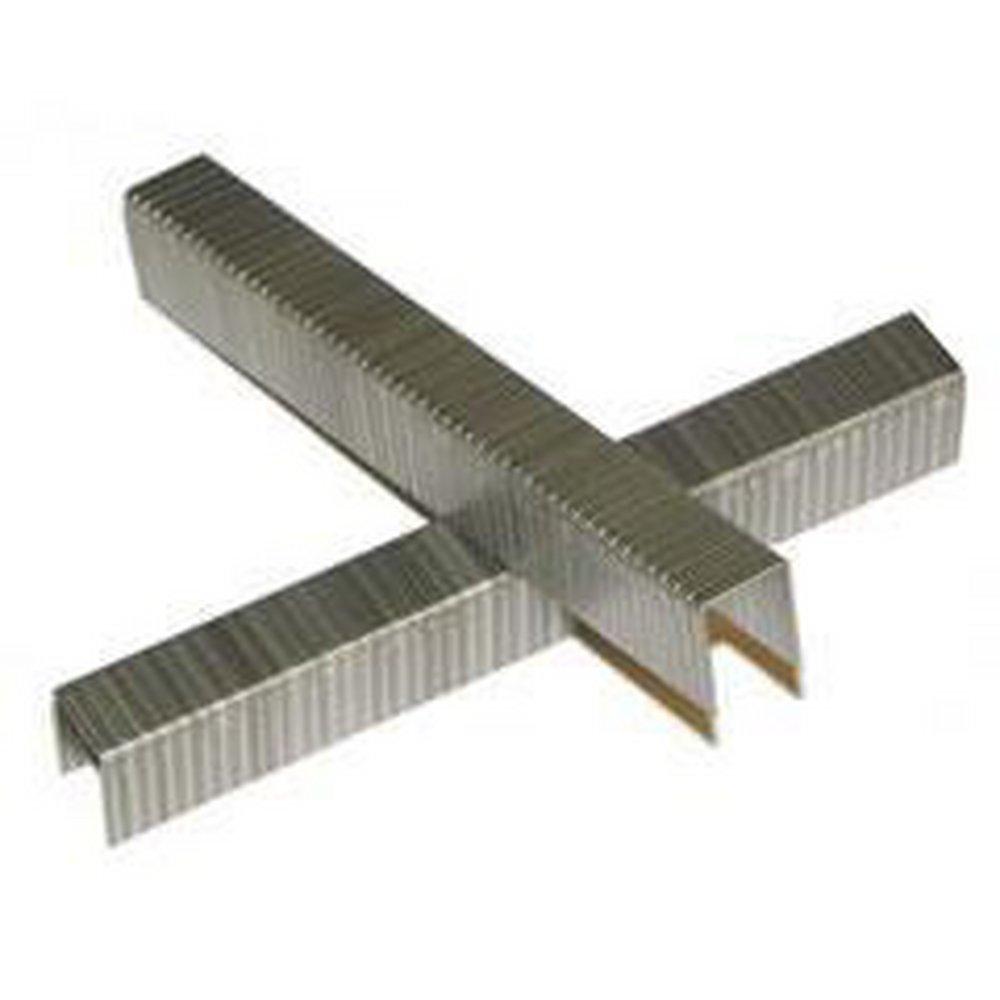 Ample Supply Company Galvanized 2 in. Staples (Case of 10000) 