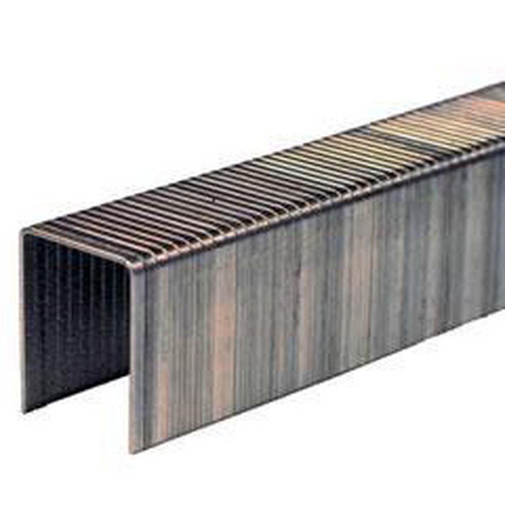 Ample Supply Company 5/8 in. Staple 