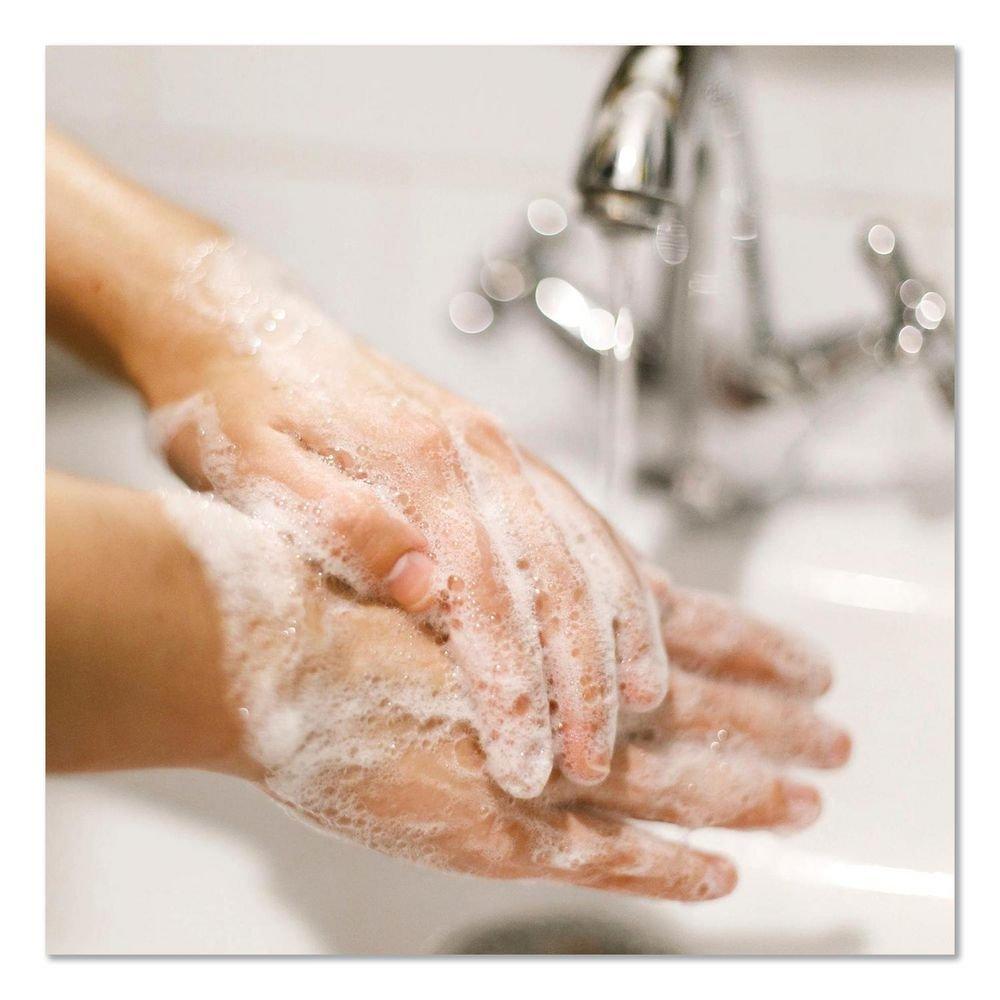 Dial&reg; Gold Liquid Hand Soap (Pack of 4) 