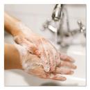 Dial&reg; Gold Liquid Hand Soap (Pack of 4) 