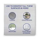 Lysol&reg; All Purpose Cleaner and Disinfectant 