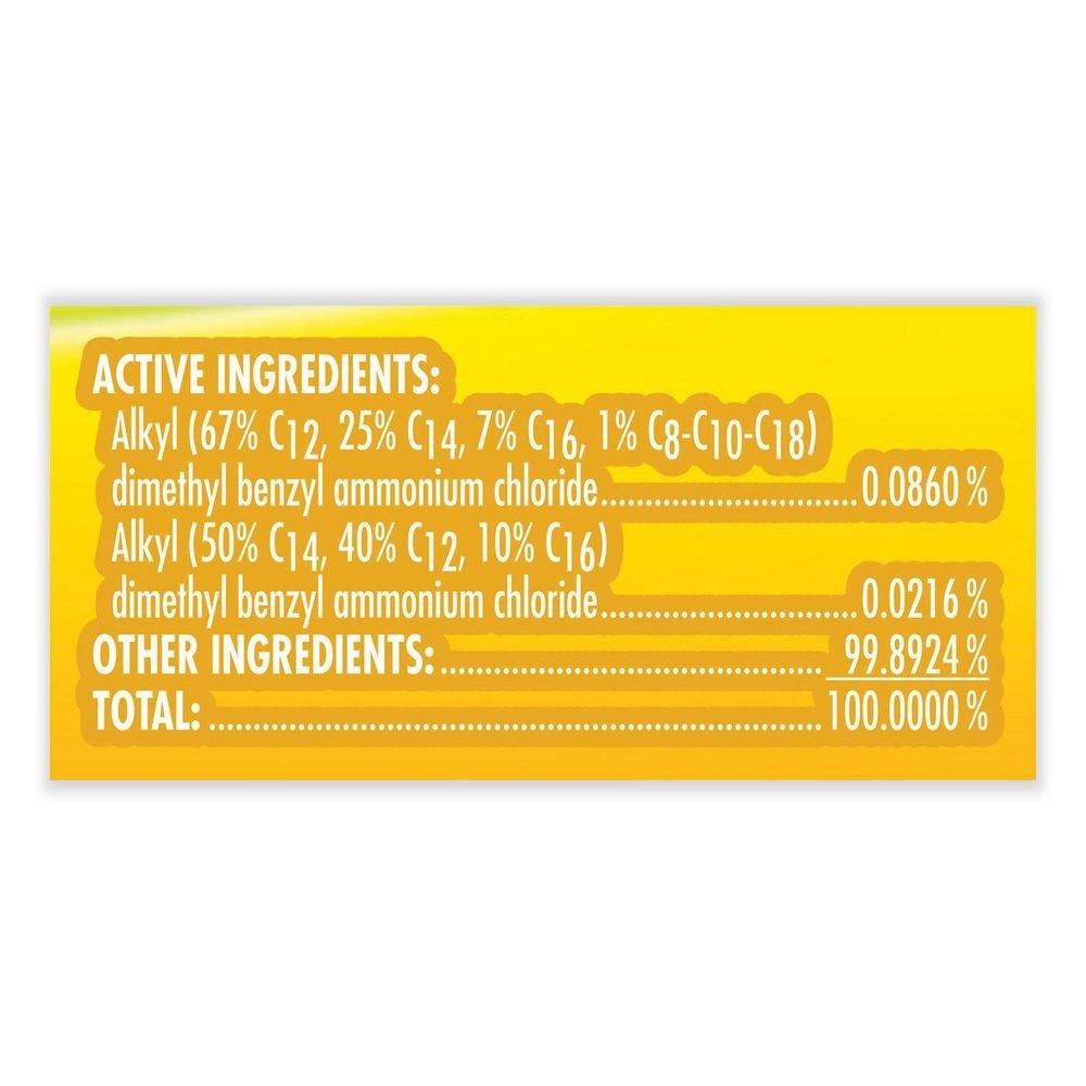 Lysol&reg; All Purpose Cleaner and Disinfectant 