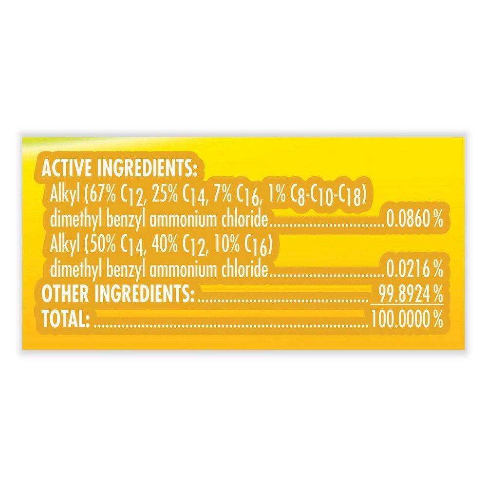 Lysol&reg; All Purpose Cleaner and Disinfectant 