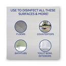 Lysol&reg; All Purpose Cleaner and Disinfectant 