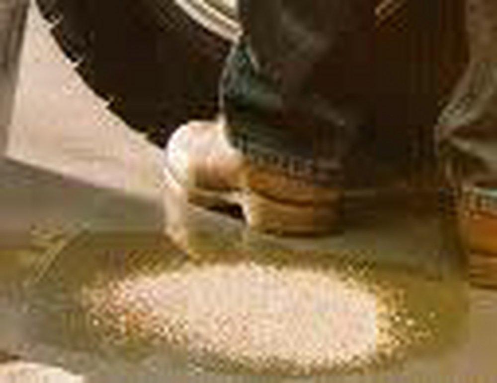 Flor-Dri Supply Industrial Absorbent 